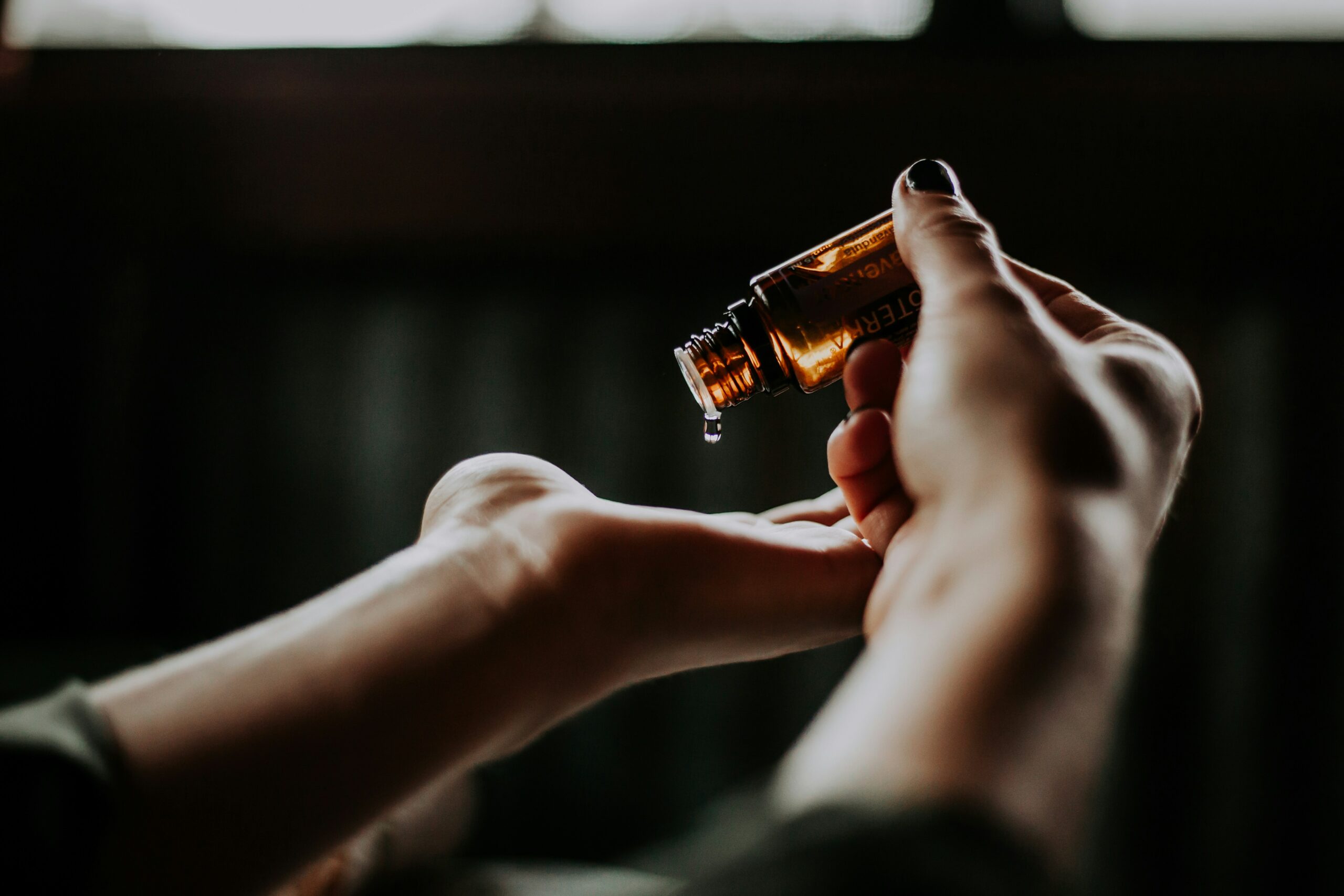 Consultation herbaliste — Aurore Baix